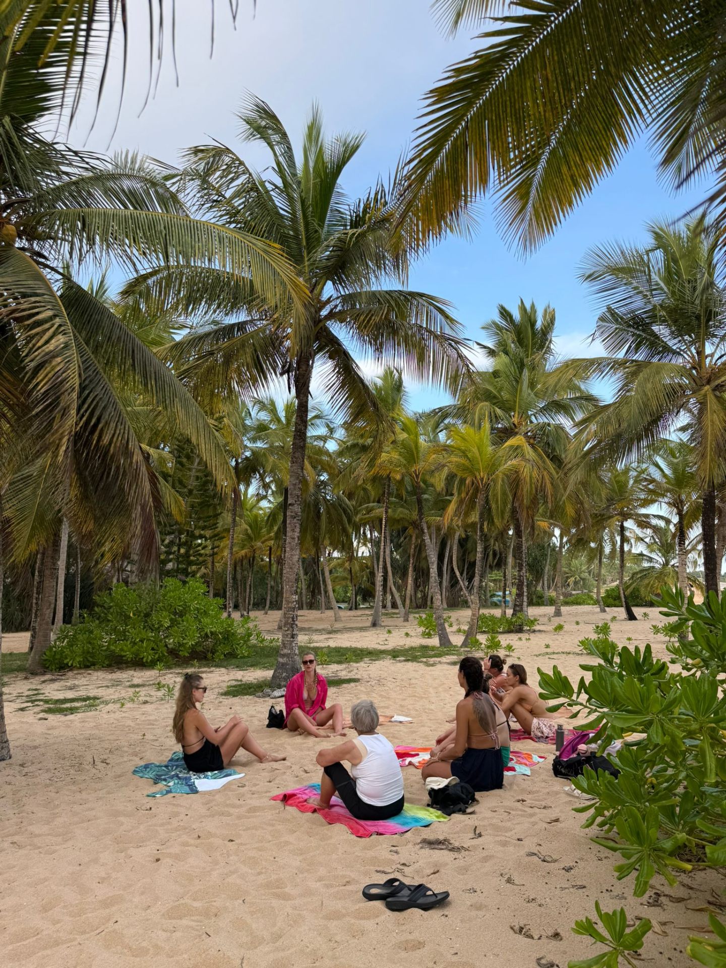 A small group sitting together on the sand beneath coconut palms